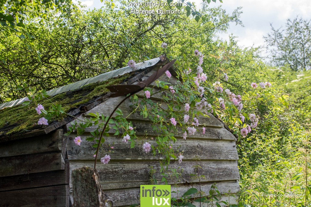 //media/jw_sigpro/users/0000001510/jardins ouverts suxy/Jardins ouvert-29